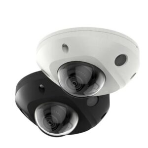 DS-2CD2543G2-IS